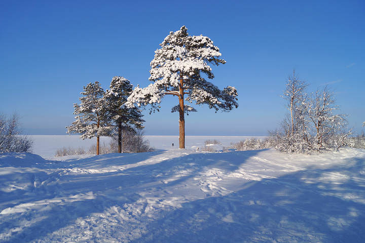 ягры.20.02.2014 .032 .