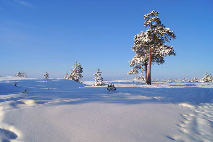 ягры.20.02.2014 .037.
