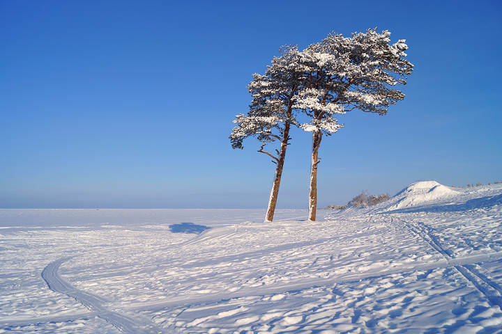 ягры.20.02.2014 001 - копия.JPG