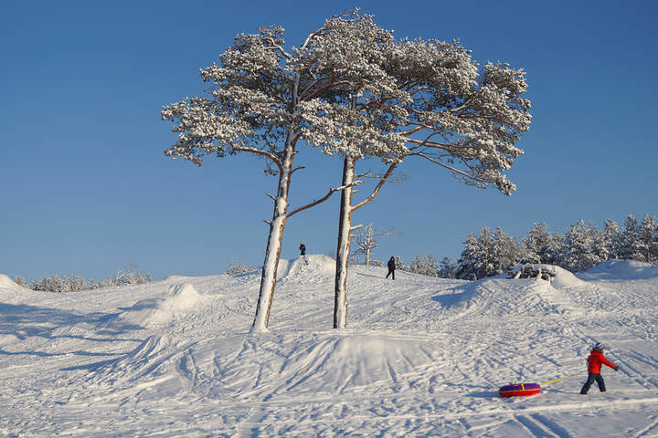 ягры.20.02.2014 .071.