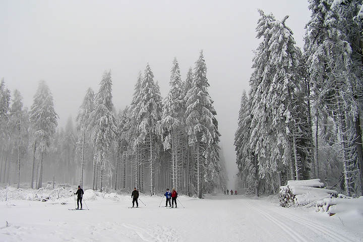 Зима