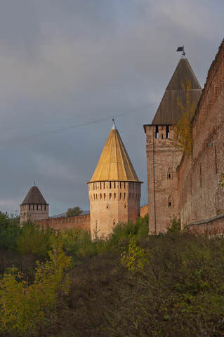 Смоленская крепость