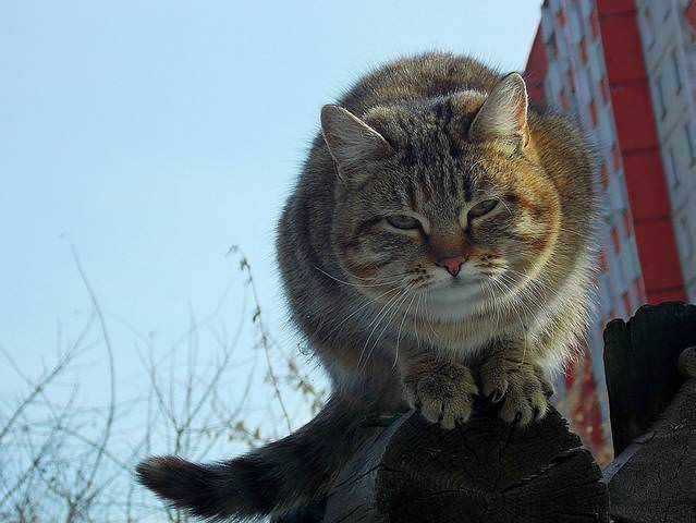 Настоящий,мартовский.