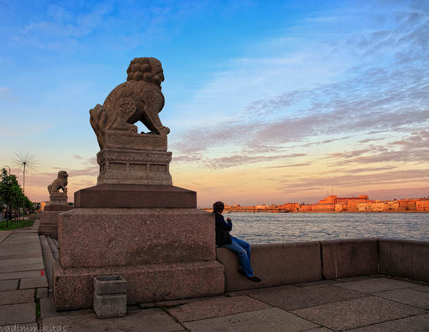 Львы города на Неве