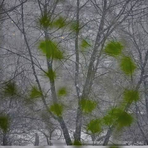 Пейзаж с геранью на окне и метелью за окном