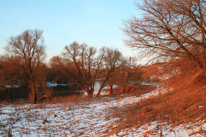 В ЛУЧАХ КУПАЮТСЯ, ВОСХОДА ДЕРЕВА