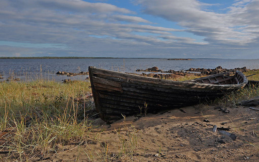 Лодки белого моря. Старая лодка. Заброшенный Баркас. Старая лодка на берегу. Старые лодки на берегу белого моря.