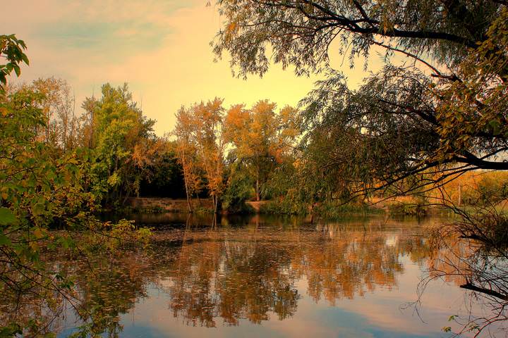 У водоема.