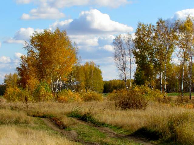 Осенние мотивы.
