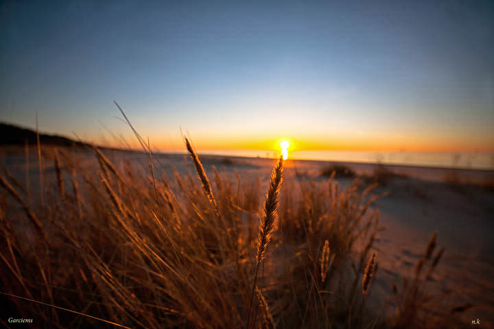 sunset dune