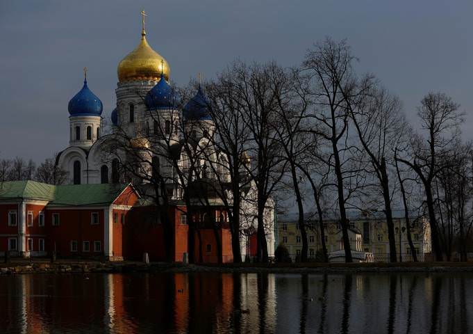 Пейзаж с чайкой