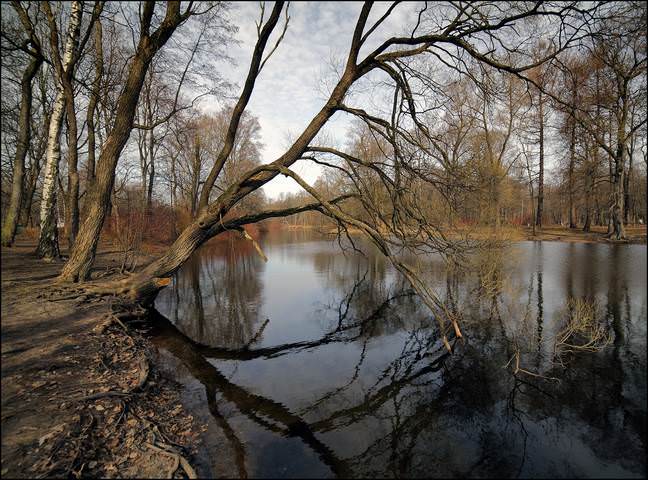 Вербное воскресение