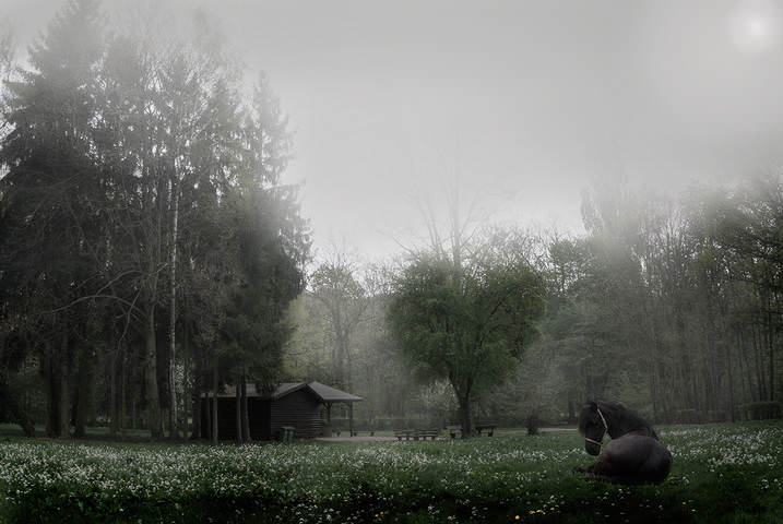 Минор...