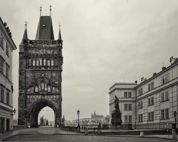 Одинокий Карл