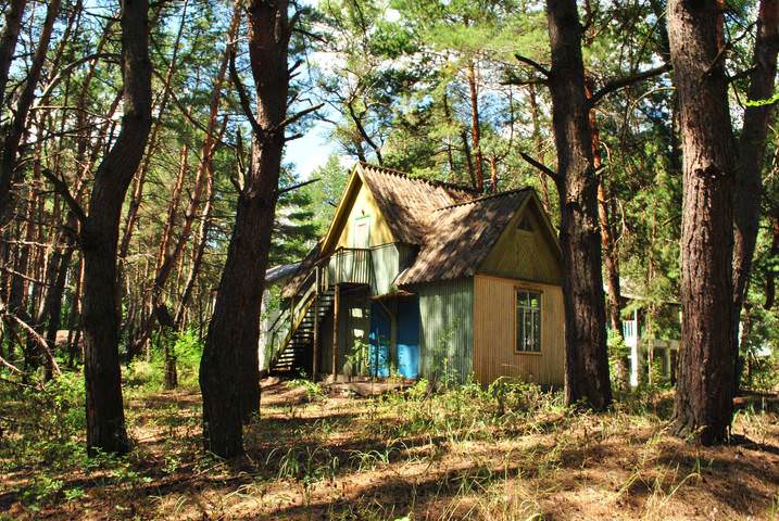 Дом в лесу