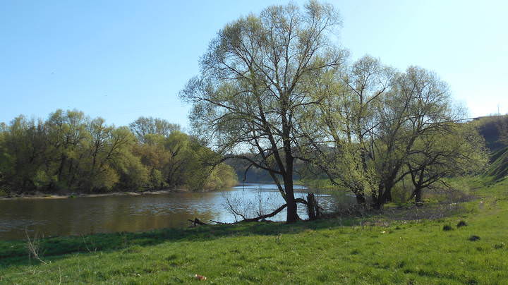 весна в разгаре. ДОН. 2.