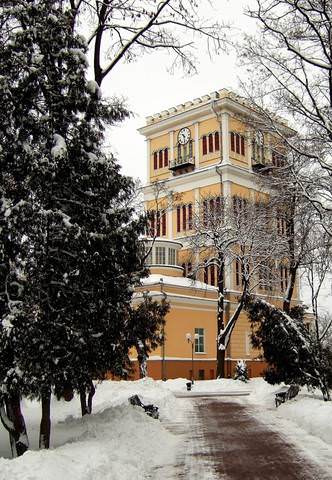 В зимнем парке