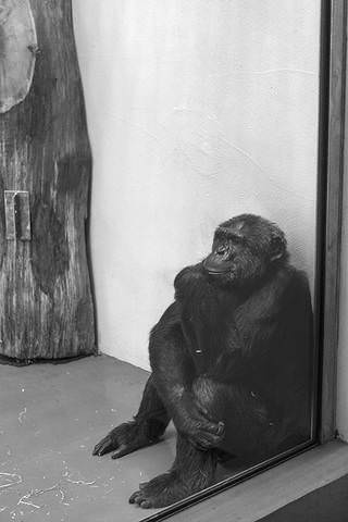Zoo Berlin