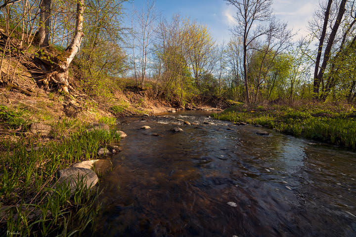 springtime