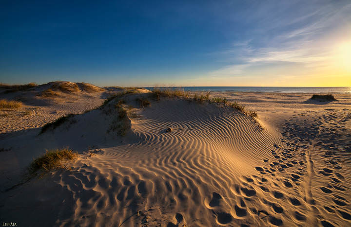 dune.....