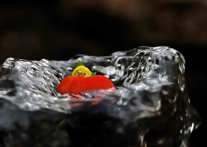 на водяной подушке...