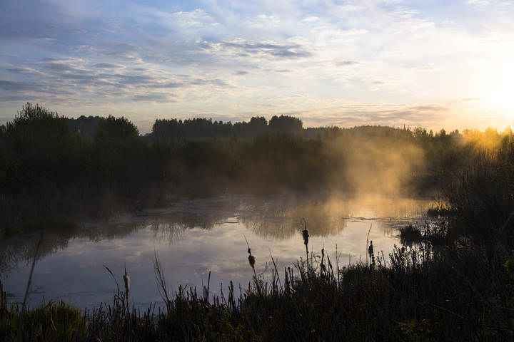 на зорьке