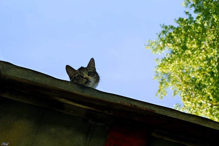 И чё?..