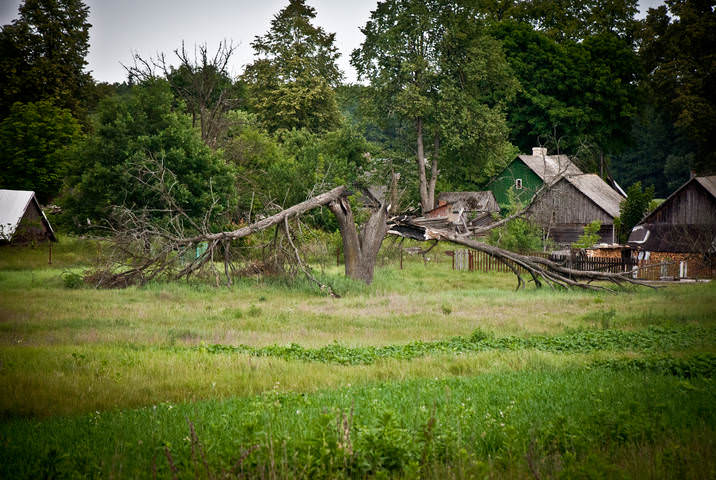 DSC_0661
