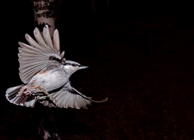 DSCF6820_1