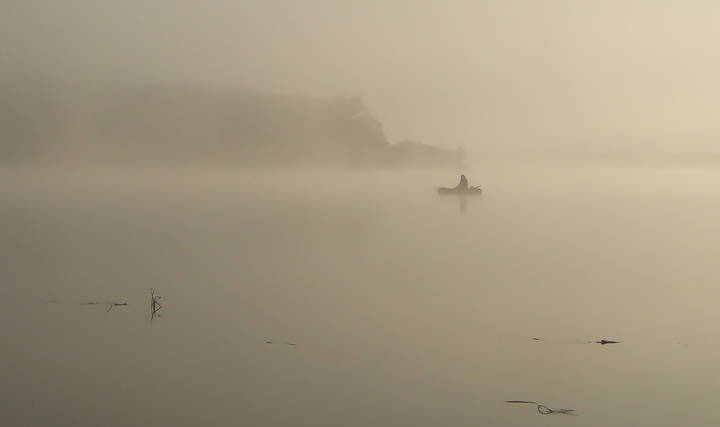 В тумане