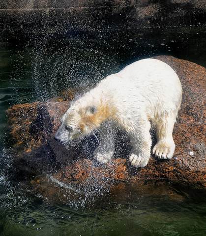 Водные процедуры