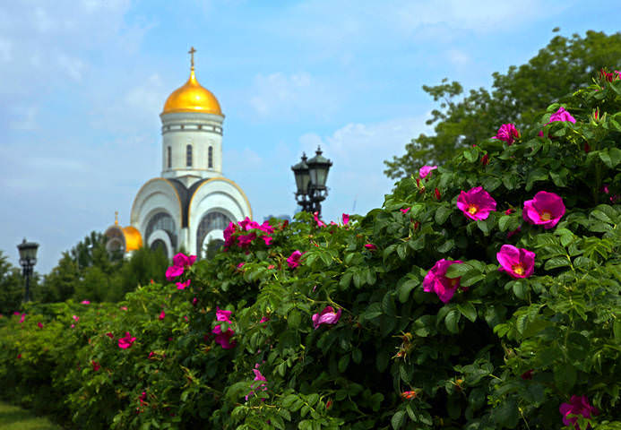 Из серии "Человек и природа"