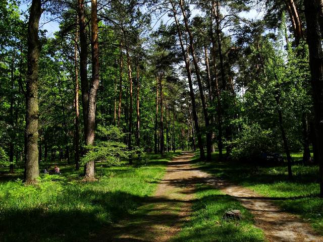 Untitled2