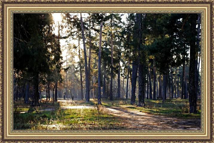 FotoSketcher - Untitled-1а2к