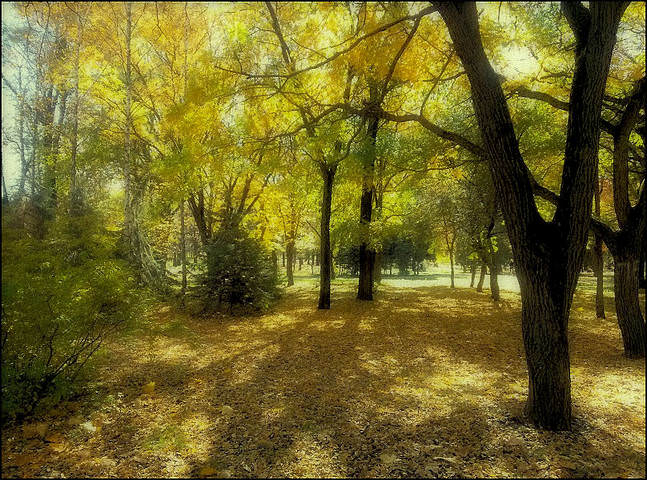 Осень
