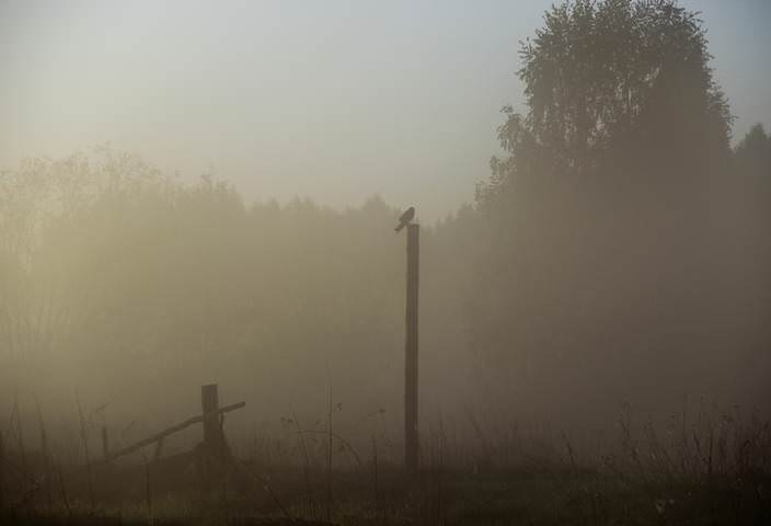 Утро