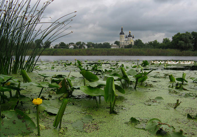 На речке Рось