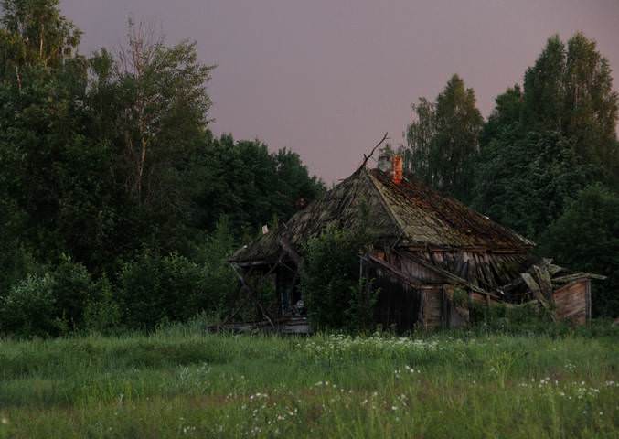 У леса на краю