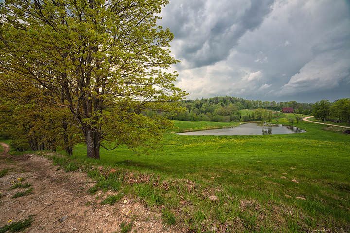 # 7