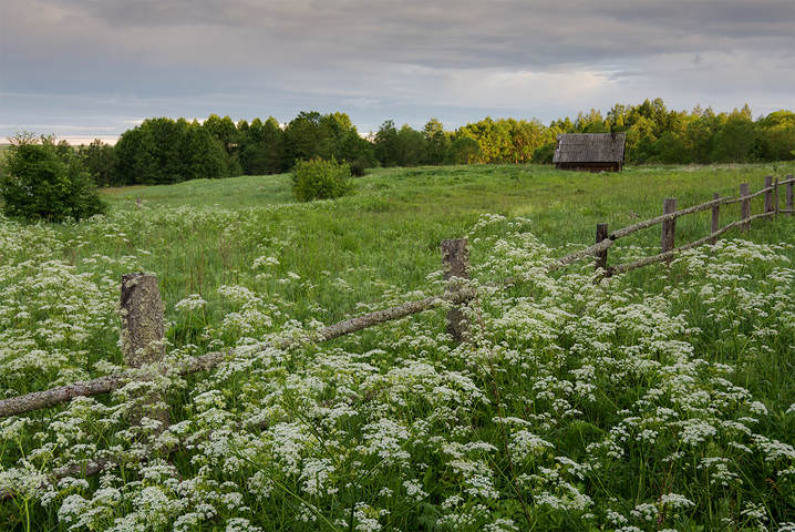 Старая банька