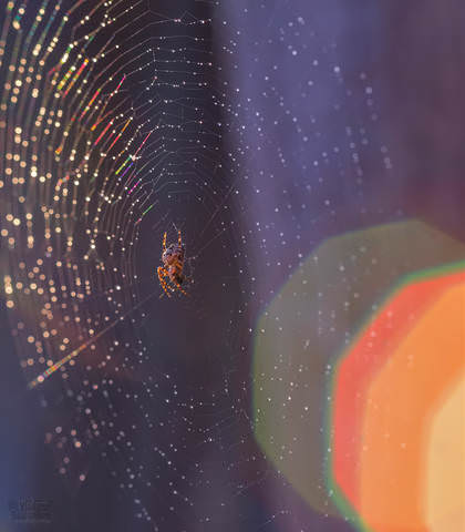# 3