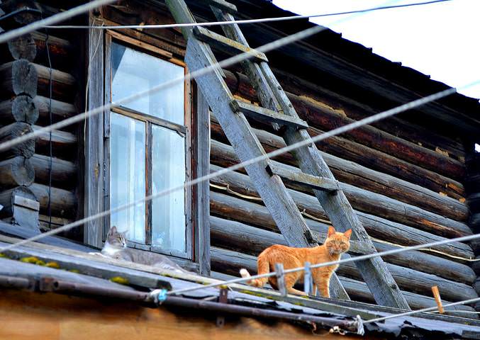 Кашаки.