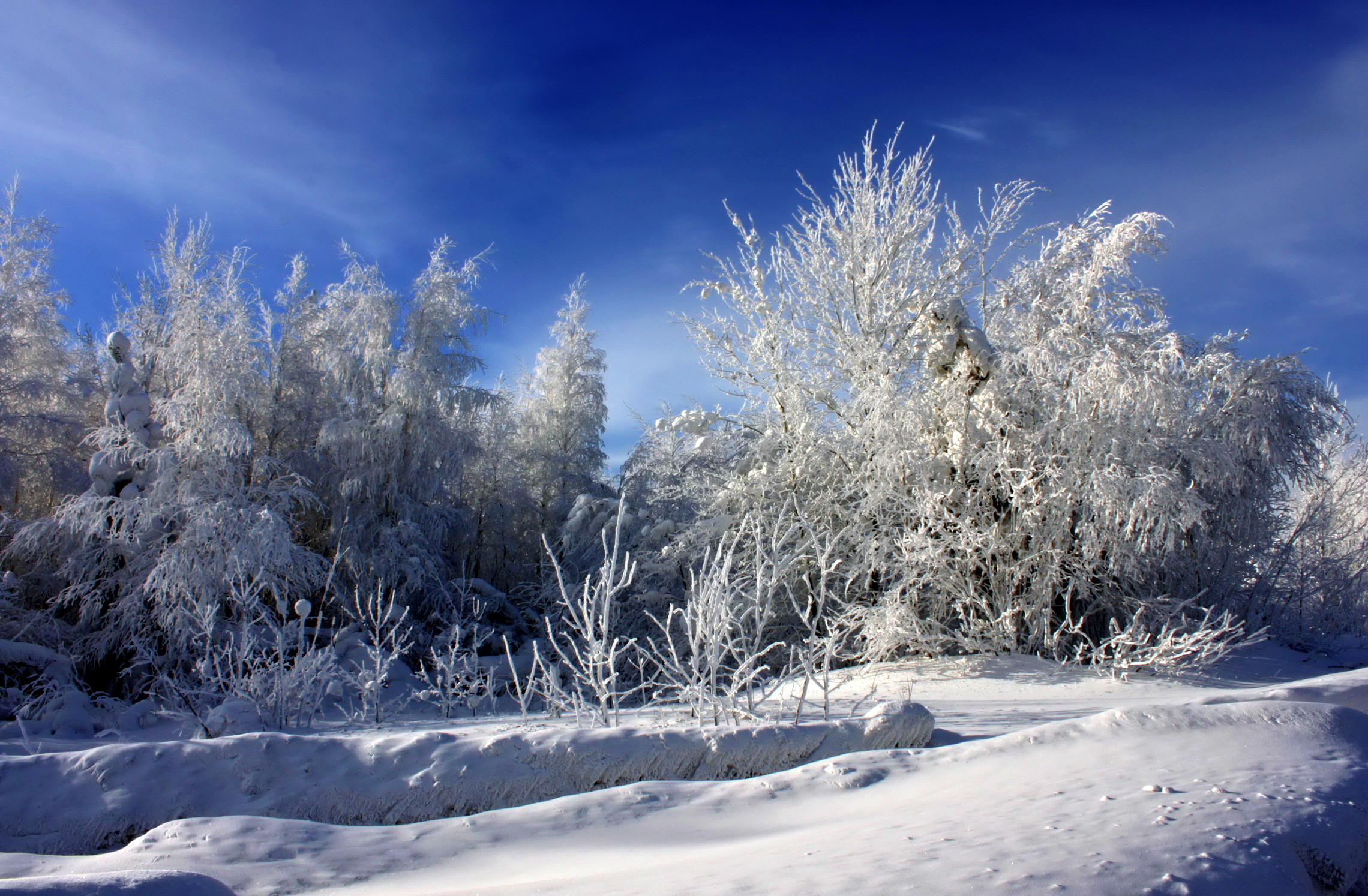 Зима в Сургуте