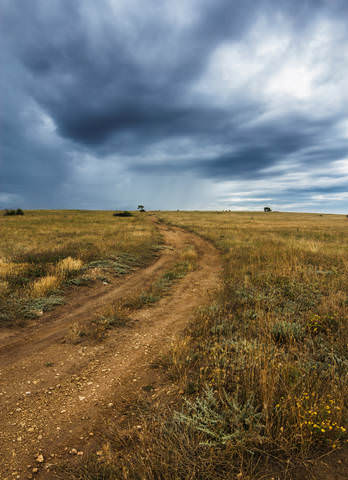 Дорога в небо