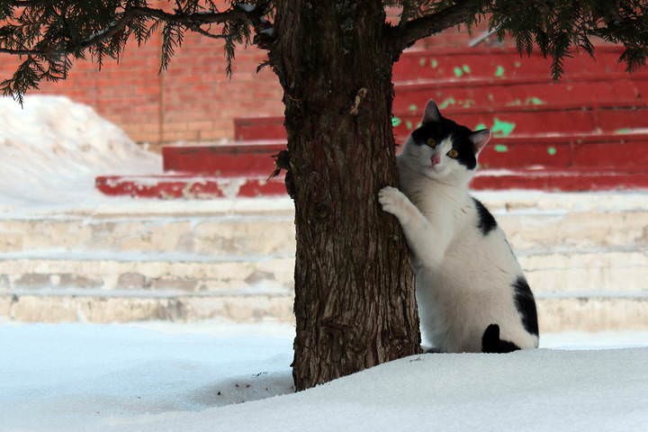 Фото на память.:-)