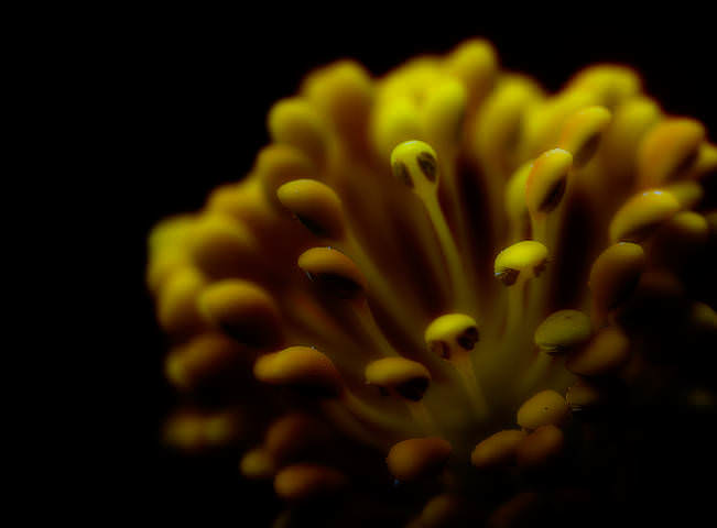 UFO