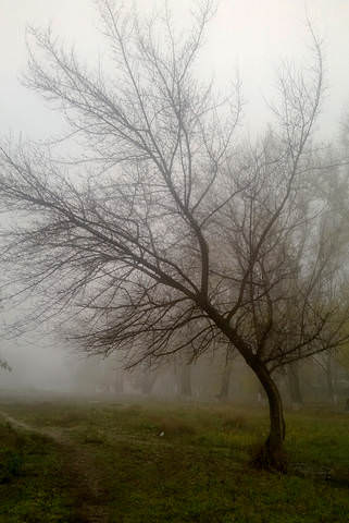 WP_20131030_002