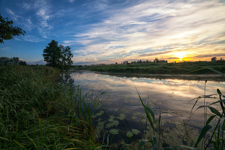 morning river