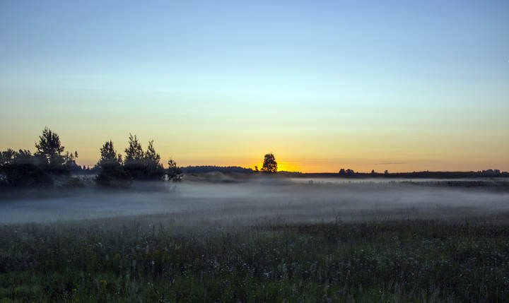Here Comes the Sun
