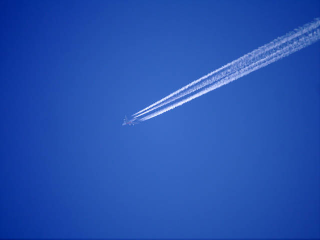 P1180722 1
